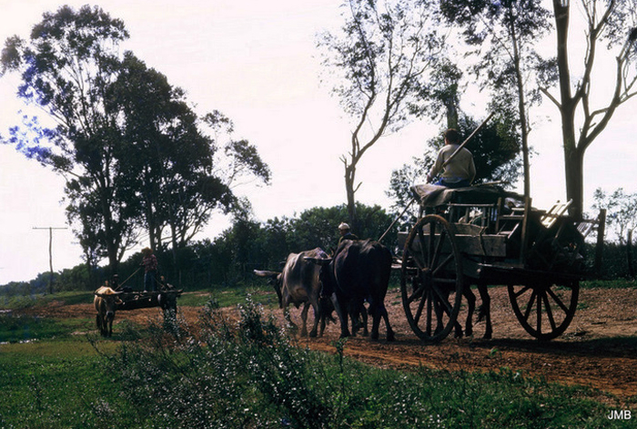 AÑO 1973 - COLOR - VIDA CAMPESINA EN PARAGUAY (JOSÉ MARÍA BLANCH)